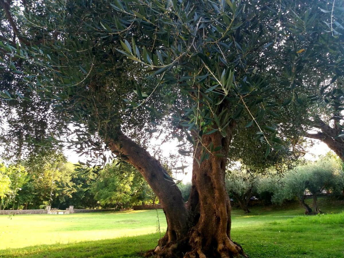 גליקי Dimitriou Rooms מראה חיצוני תמונה